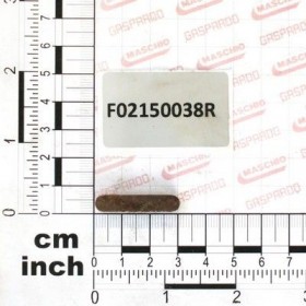 Maschio Gaspardo PANA 6X 6X 30 UNI6604A F02150038R