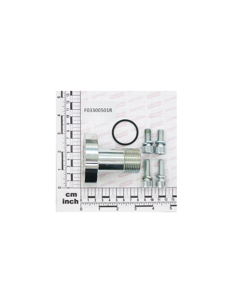 KIT FITT.4H D D24X1M+OR+SCREWS