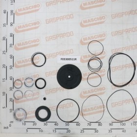 KIT OR FULL SEAL MS11-MSE11-ER