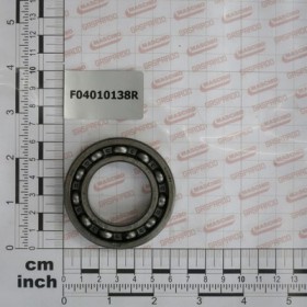 BALL BEARING 6007