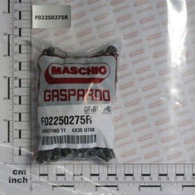 Maschio Gaspardo NIT TT 6X30 QTY 126 F02250275R