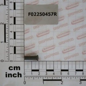 Maschio Gaspardo NIT CAP TESIT 5.4X19.8 U752 F02250457R