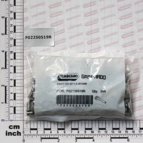 Maschio Gaspardo NIT TSC 6X13,8 QTY 200 F02250519R