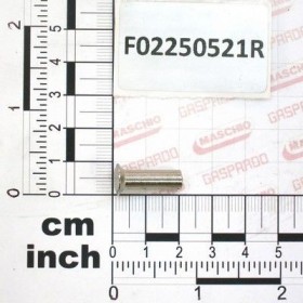 Maschio Gaspardo PACHET NITURI TESIT.6X19,8 A/2 F02250521R