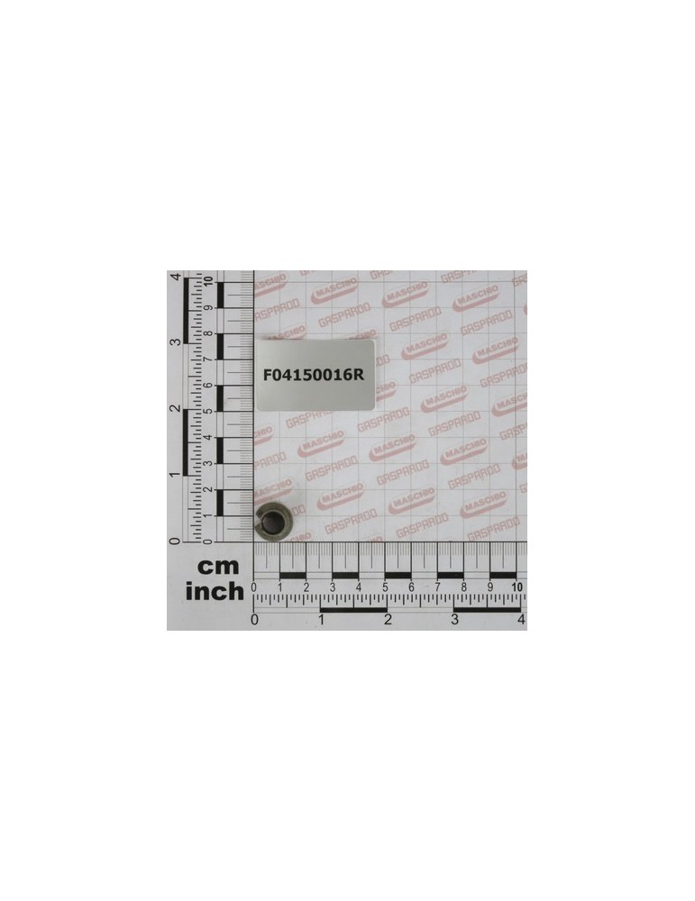 PAF COLLARED BUSH 08095 P10