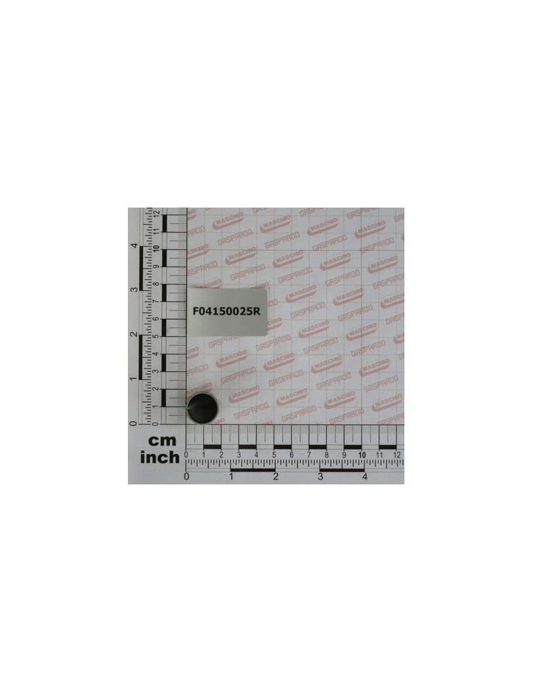 PAP BUSH  1625 P10