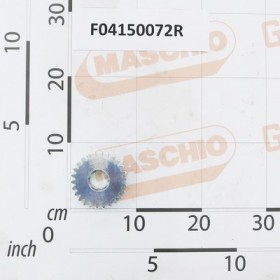 PINION