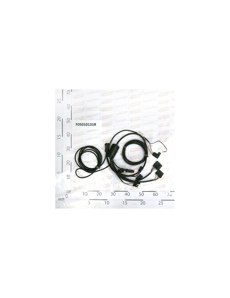 HARNESS CCS 100