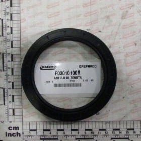 Maschio Gaspardo INEL F03010100R