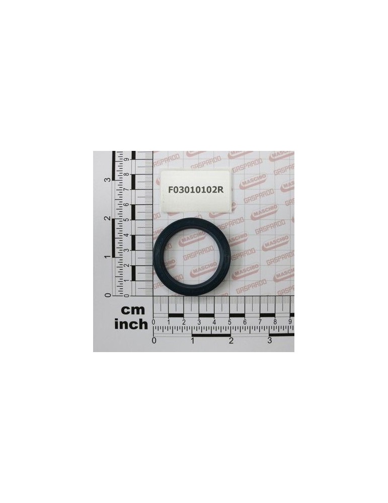 Maschio Gaspardo INEL T.A. 38X 50X 7 D3760NBR F03010102R