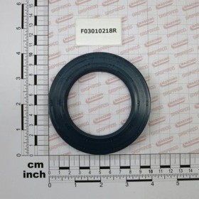 Maschio Gaspardo INEL T.A. 65X100X10 D3760 NBR F03010218R