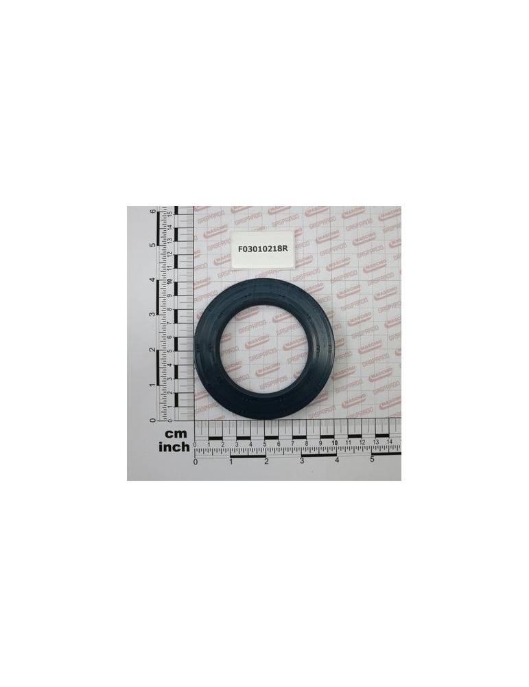 Maschio Gaspardo INEL T.A. 65X100X10 D3760 NBR F03010218R