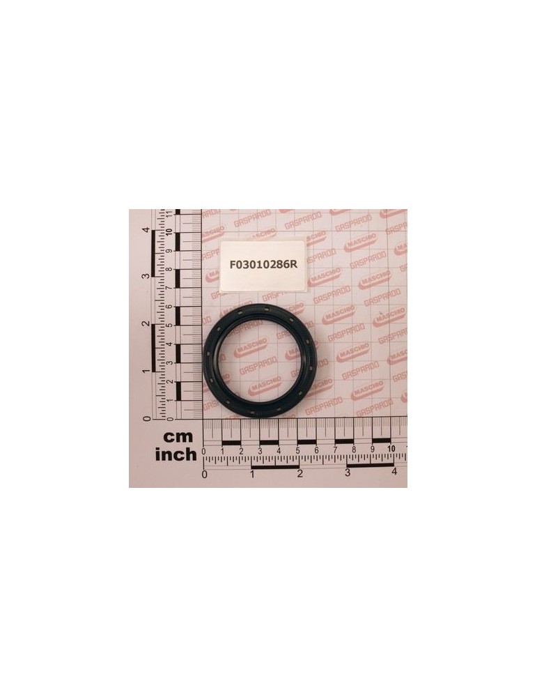 Maschio Gaspardo PROT. ULEI 45X 60X 7 D3760NBR F03010286R