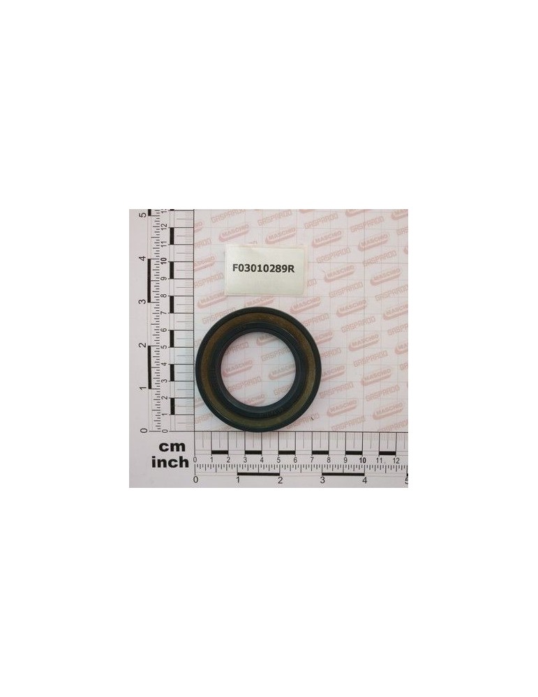 Maschio Gaspardo INEL T.AS 45X72X10 D3760NBR F03010289R