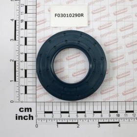 Maschio Gaspardo INEL T.AS 45X85X10 D3760 F03010290R