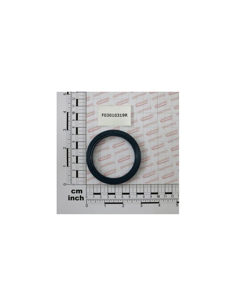 Maschio Gaspardo INEL T.AS 60X 75X 8 D3760 NBR F03010319R