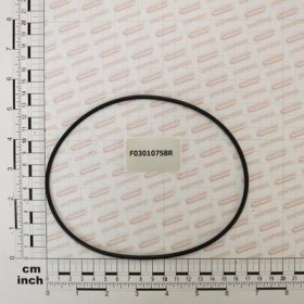 Maschio Gaspardo INEL\\ OR 148,82X3,53 NBR 70 F03010758R