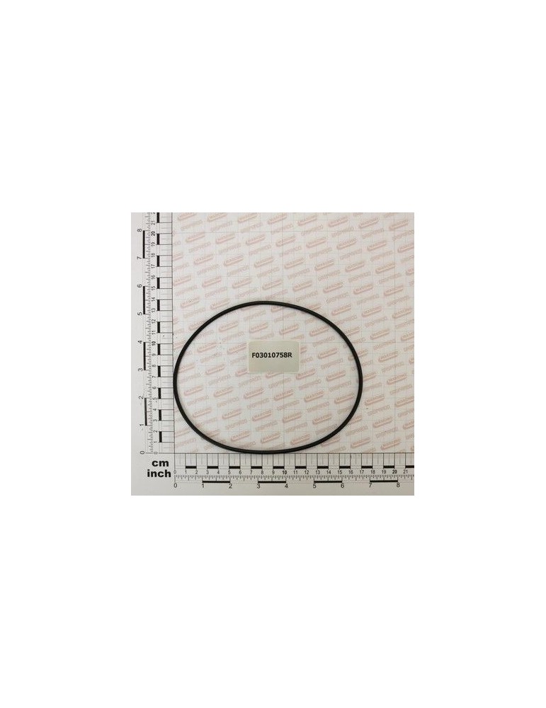 Maschio Gaspardo INEL\\ OR 148,82X3,53 NBR 70 F03010758R