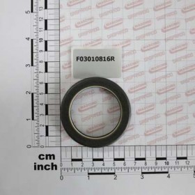 Maschio Gaspardo SIMERING 48X65X11 SPECIALE F03010816R