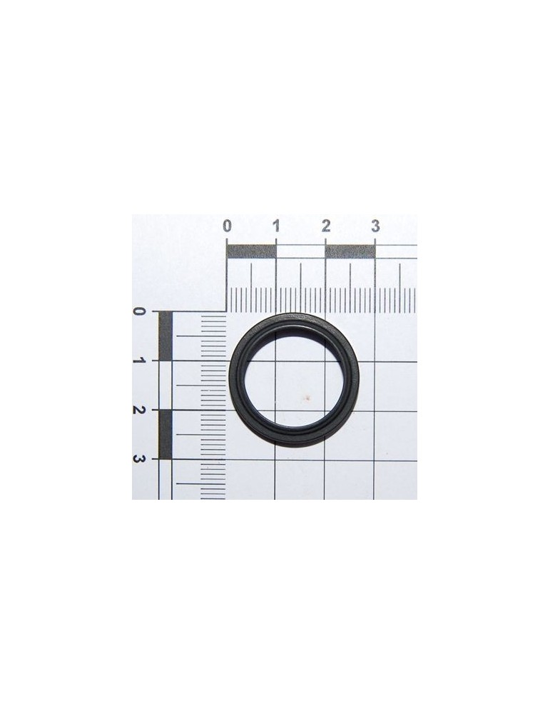 Maschio Gaspardo GARNITURA CU BUZA 26X20X5 F03011082R