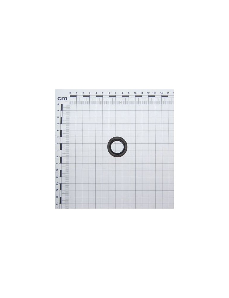 Maschio Gaspardo GARNITURA CU BUZA 30X20X7 F03011083R