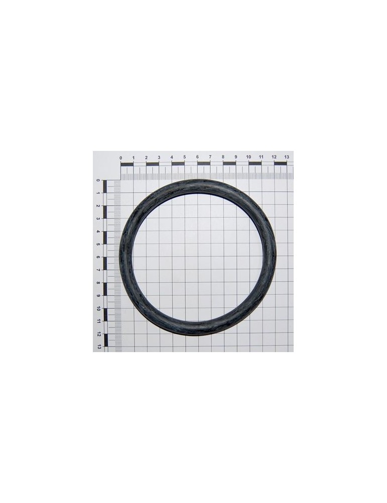 Maschio Gaspardo Garnitura 10x100 F03011142R