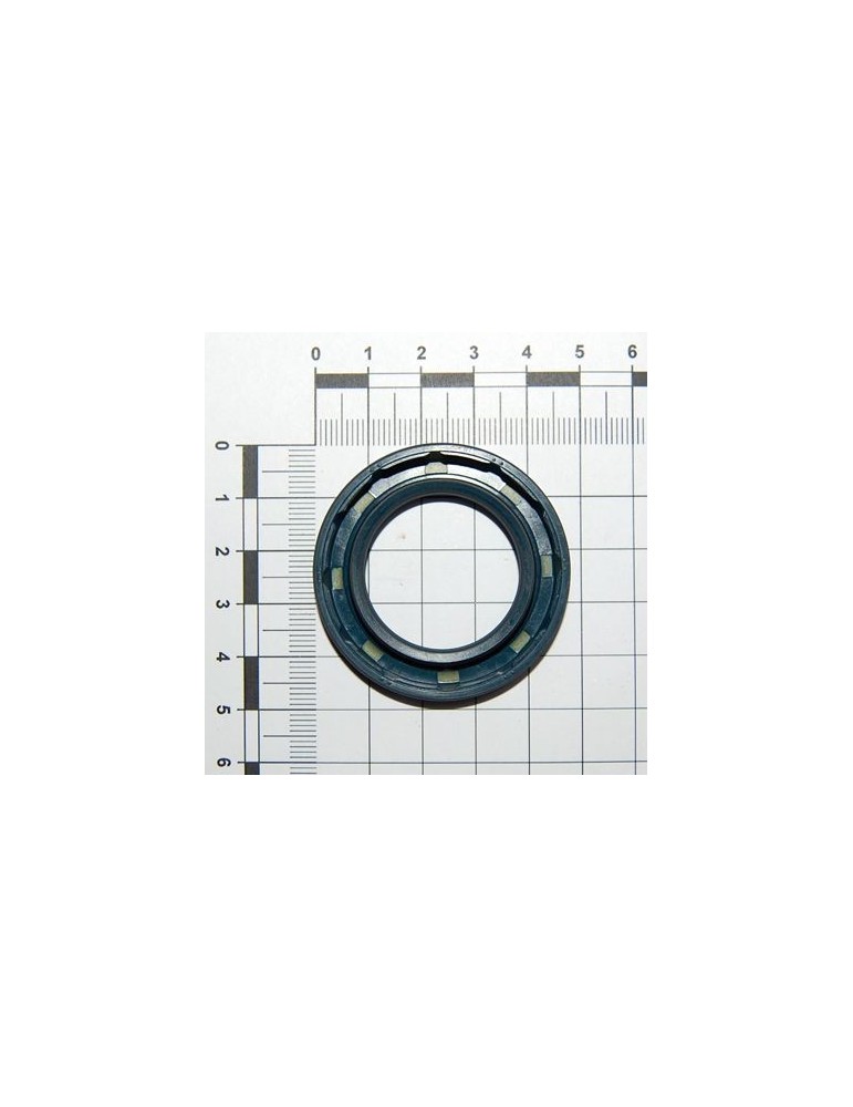 Maschio Gaspardo INEL PORT 30X47X7 F03011159R