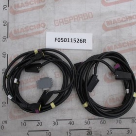 ECU ULTRASOUND