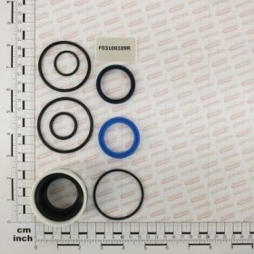 Maschio Gaspardo SERIE GARNIT.PIST.36200688 DC F03100109R