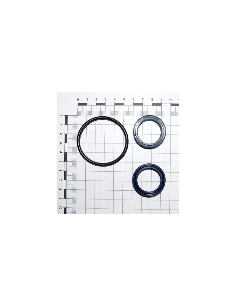 Maschio Gaspardo SET GARN.CILINDRU 13812061 F03100180R