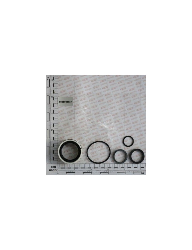 Maschio Gaspardo SET GARN.CILINDRU 15312720 F03100185R