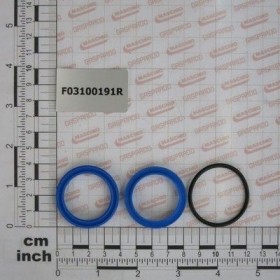 Maschio Gaspardo SET GARN.CILINDRU 15413110 F03100191R