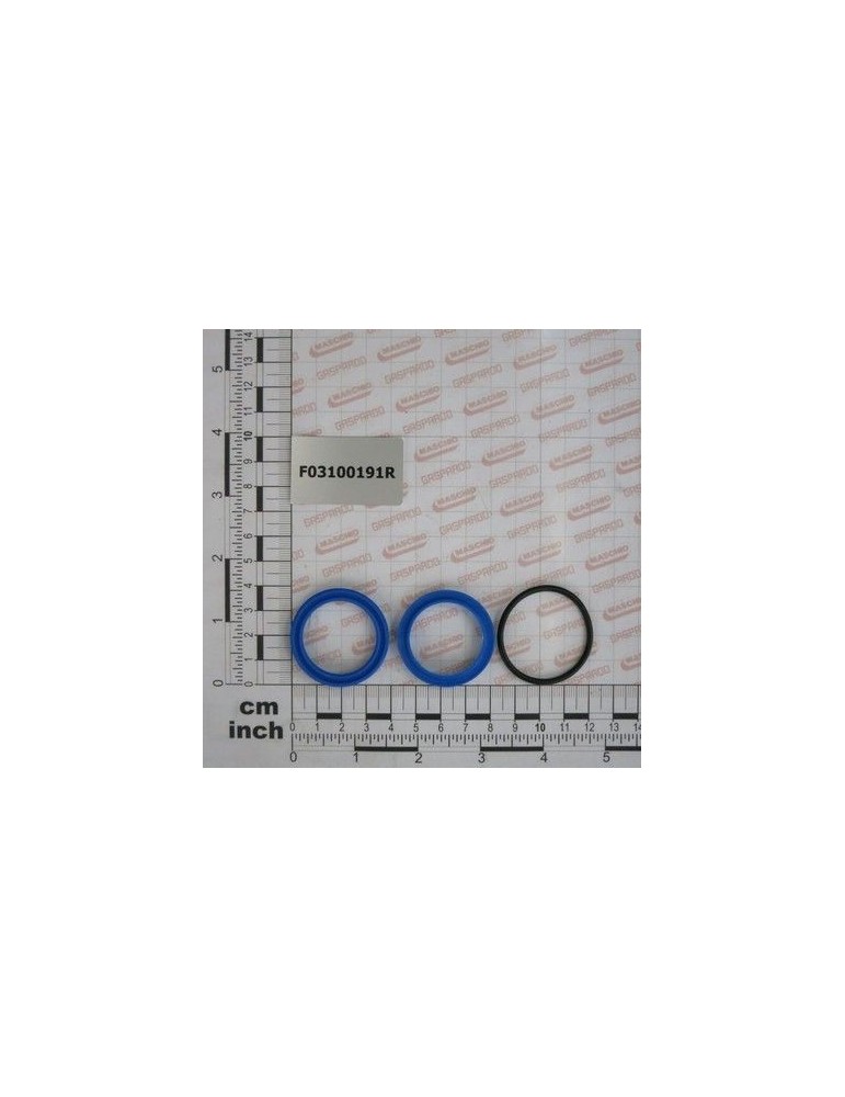 Maschio Gaspardo SET GARN.CILINDRU 15413110 F03100191R