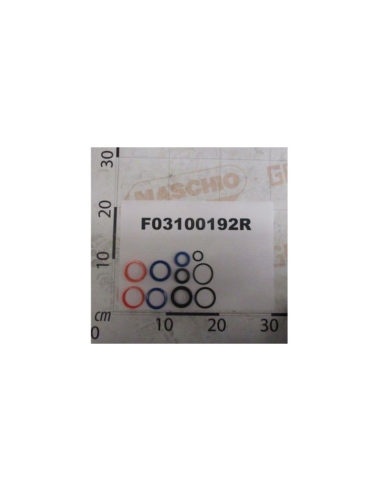 Maschio Gaspardo SET GARN.CILINDRU 14911000 F03100192R