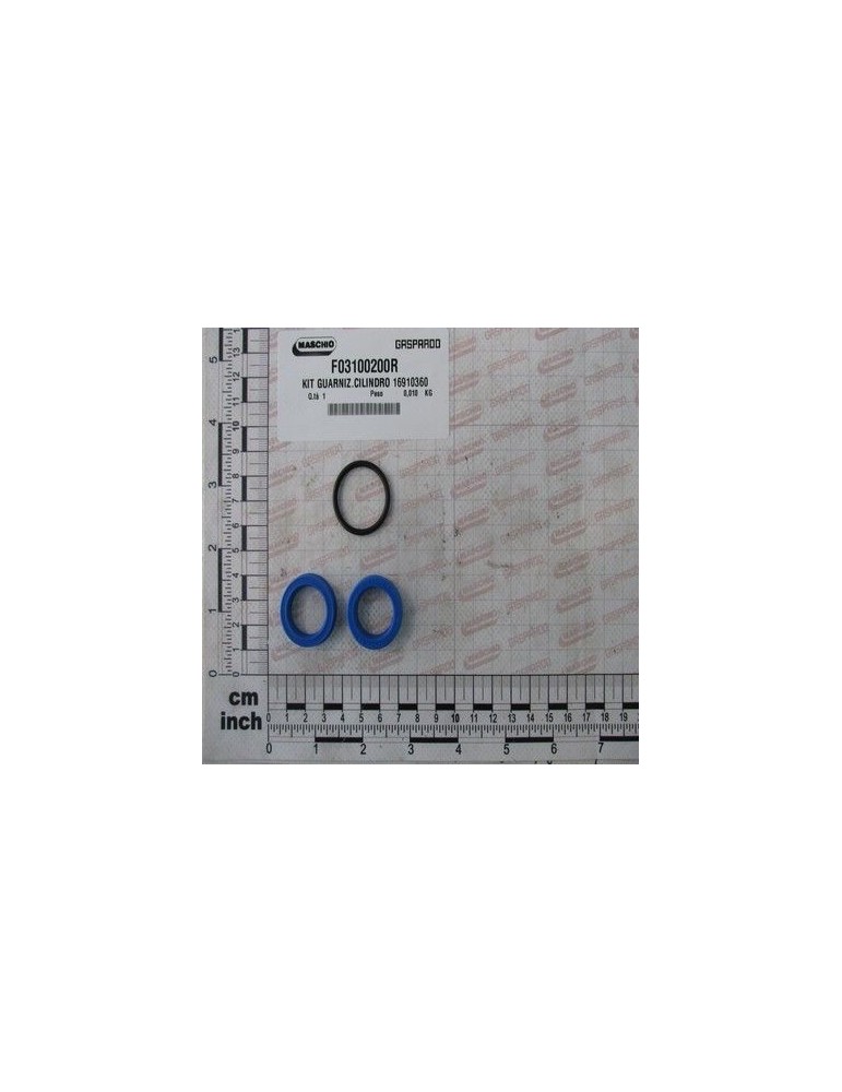 Maschio Gaspardo GARNITURA CILINDRU 16910360 F03100200R