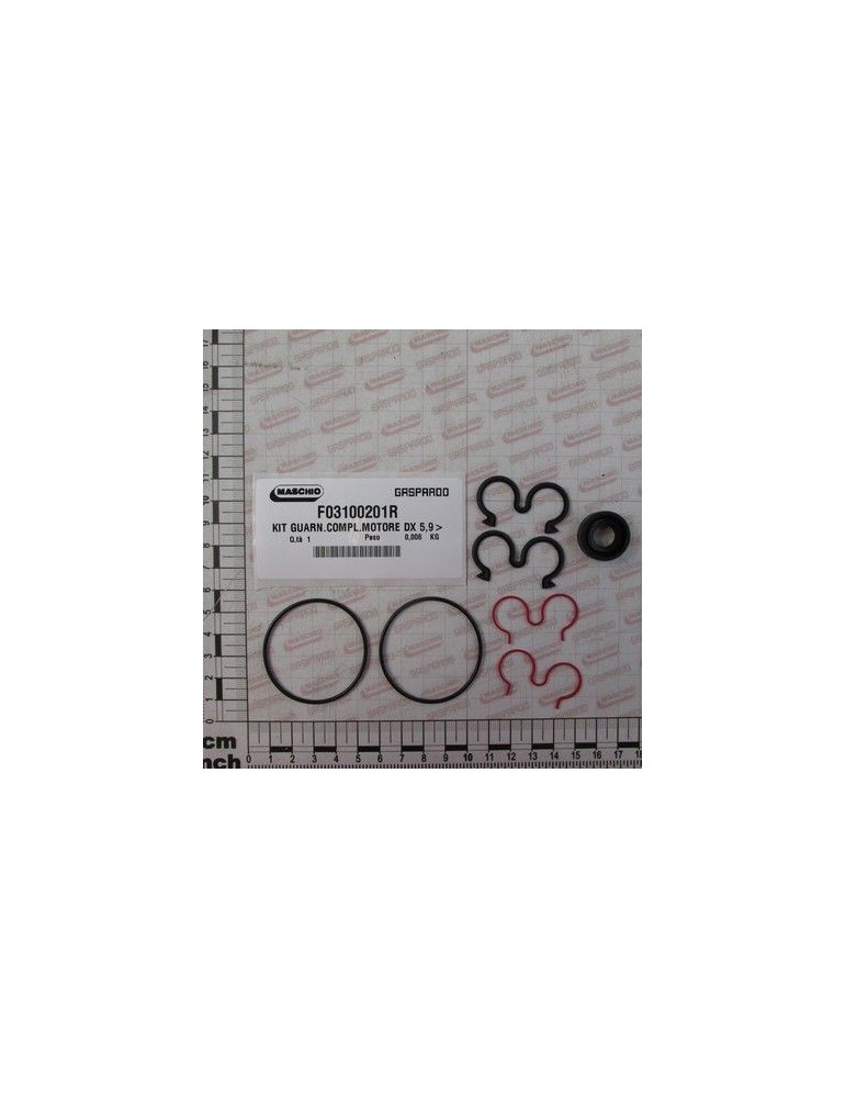 Maschio Gaspardo SET GARN.MOTOR 67007449 F03100201R