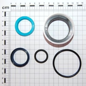 Maschio Gaspardo SET GARNIT. CILINDRU F03100207R