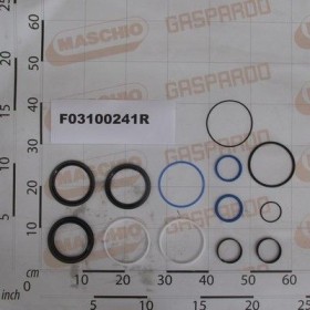 Maschio Gaspardo KIT GUARNIZ.CILINDRO R17210822 F03100241R