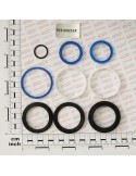 Maschio Gaspardo KIT GUAR.CILIND. R18512800/810 F03100251R