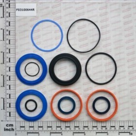 Maschio Gaspardo KIT GUARNIZ.CILINDRO G17915312 F03100644R