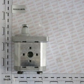 Maschio Gaspardo POMPA CU PINIOANE 19L. 1000G. F03151187R