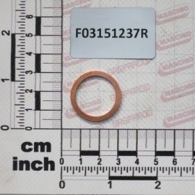 Maschio Gaspardo SAIBA PLANA 21X27X1,5 1/2 F03151237R