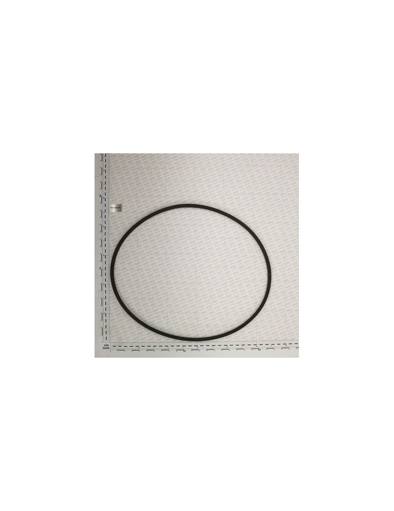 BELT \"B60\" LP-1568
