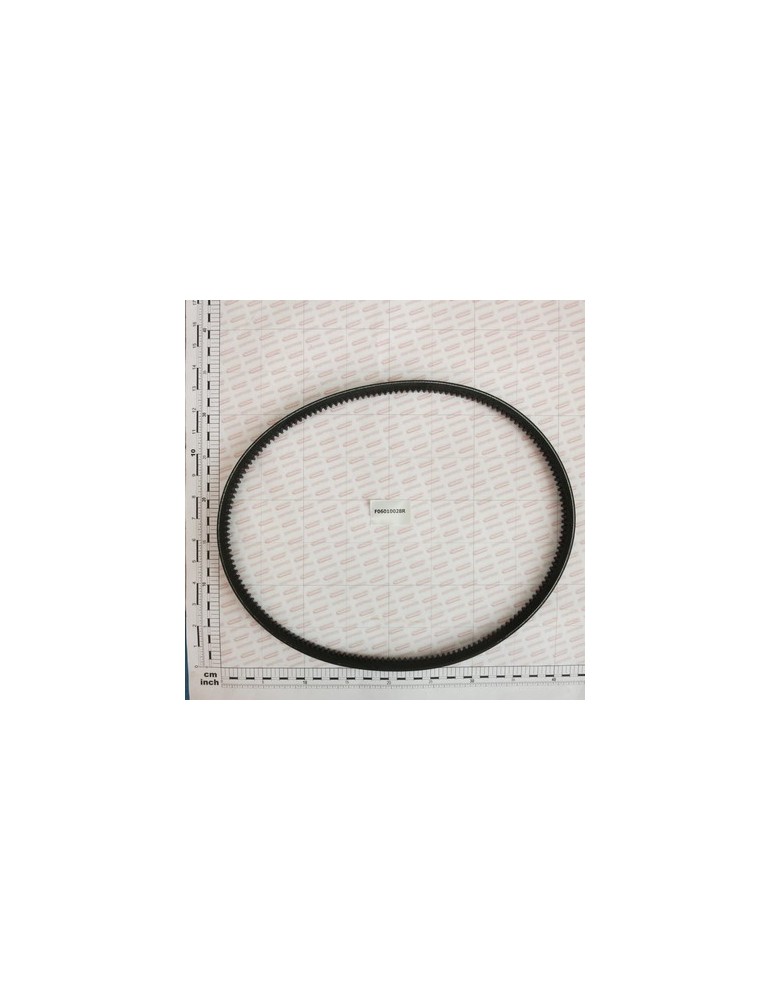 BELT L-1160