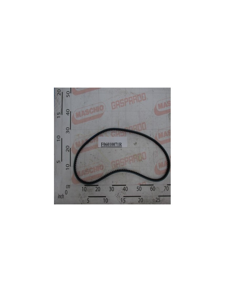 BELT XPB L.1650