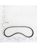 BELT XPB/2   L-2457