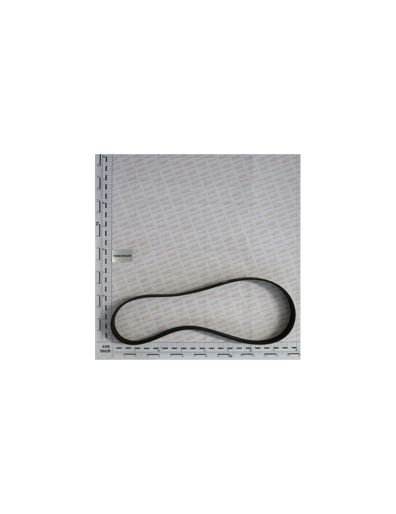 BELT- POLI-V 914 J-16 GOLE