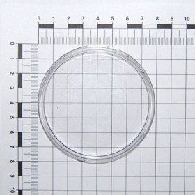 Maschio Gaspardo VETRO VACUOM.0-100 MBAR D80 F03151356R