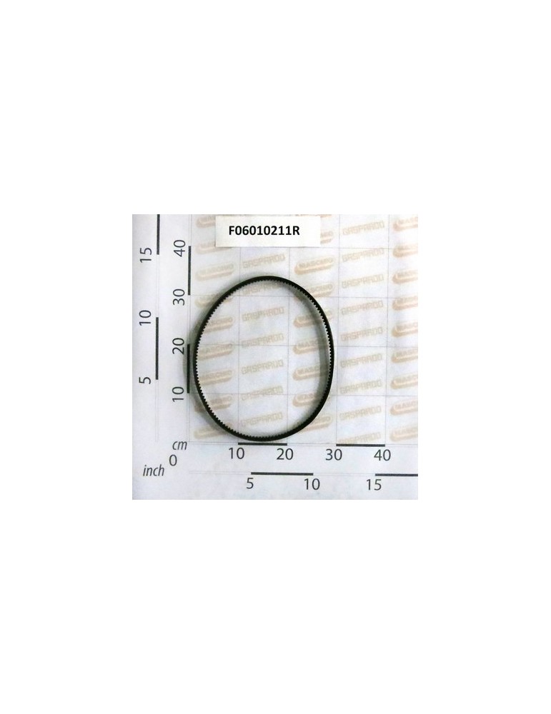 BELT- A 36