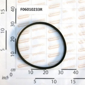 BELT- B 36